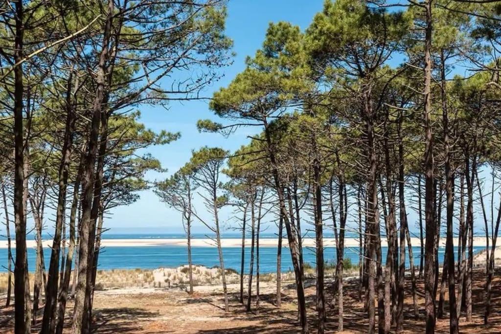 Atlandes - Entre Lac Et Mer Biscarrosse Exterior photo
